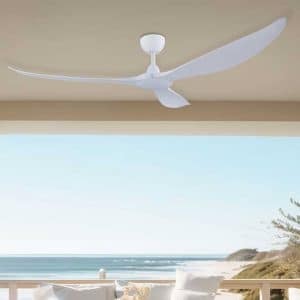 Ceiling fans